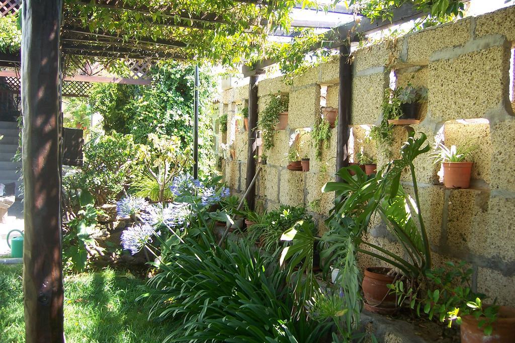Casa Rural Anton Piche With Pool-Adults Only Granadilla De Abona Bagian luar foto