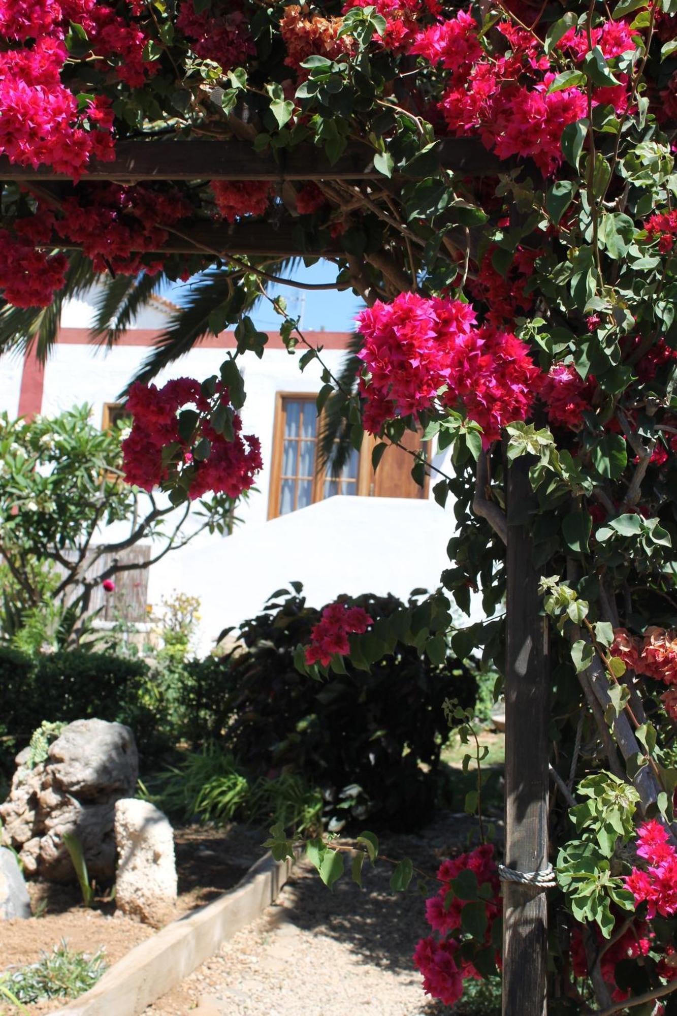 Casa Rural Anton Piche With Pool-Adults Only Granadilla De Abona Bagian luar foto