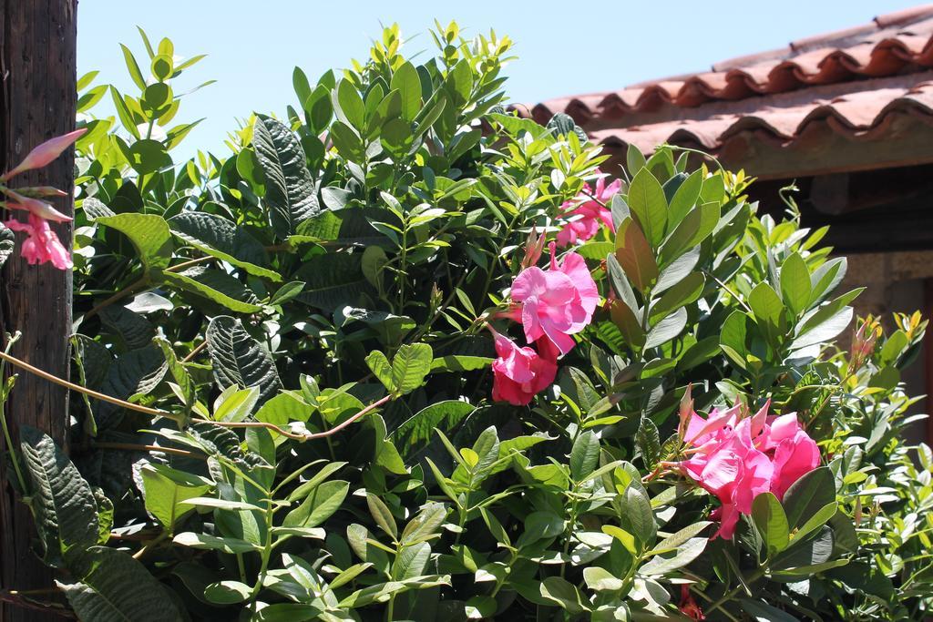 Casa Rural Anton Piche With Pool-Adults Only Granadilla De Abona Bagian luar foto