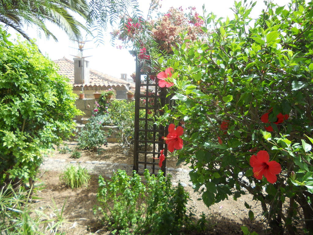 Casa Rural Anton Piche With Pool-Adults Only Granadilla De Abona Bagian luar foto
